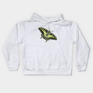 Swallowtail Butterfly Papilio machaon Kids Hoodie